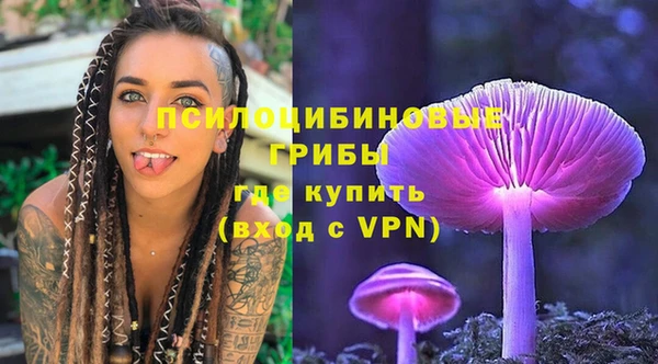 шишки Семикаракорск